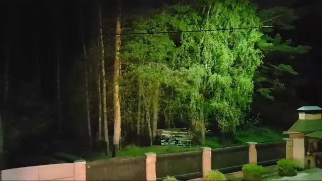 КАКОЕ ТЫ ДЕРЕВО ПО РОЖДЕНИЮ смотреть онлайн