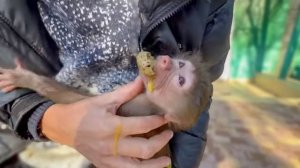 Люся схватила яйцо, лишь бы не угостить Дану и уделала всего Влада!