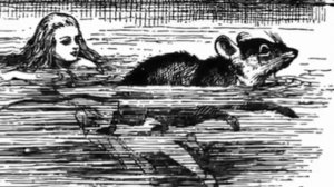 Карпук Милослава диплом