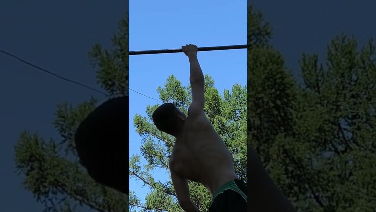 4 one arm pull ups deadstop смотреть онлайн