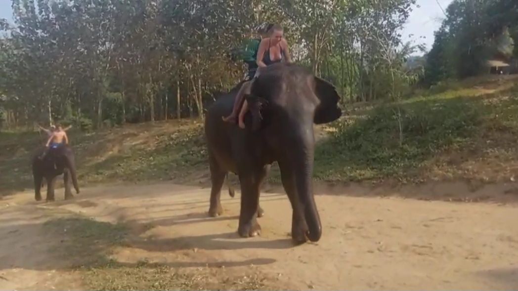 Катание на слонах .Река Квайк.Таиланд смотреть онлайн