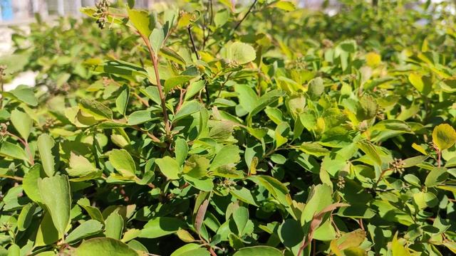 Один из дней города Евпатории | 22 апреля 2021 г | Крым | ХАН БАТОН XAH 6ATOH | VID_20210422_135923 смотреть онлайн