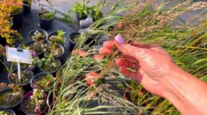 Каталог июнь 2025 с ценами, 2ч Воронеж