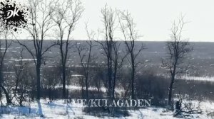 Окрестности Гуляйполе. Одновременно жуткий и завораживающий эксклюзив.Оптоволокно блестит ярче снега