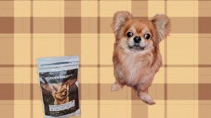 Корм для стерилизованных собак супер премиум класса FODDER BREEDER.Покупка на OZON. Обзор распаковка