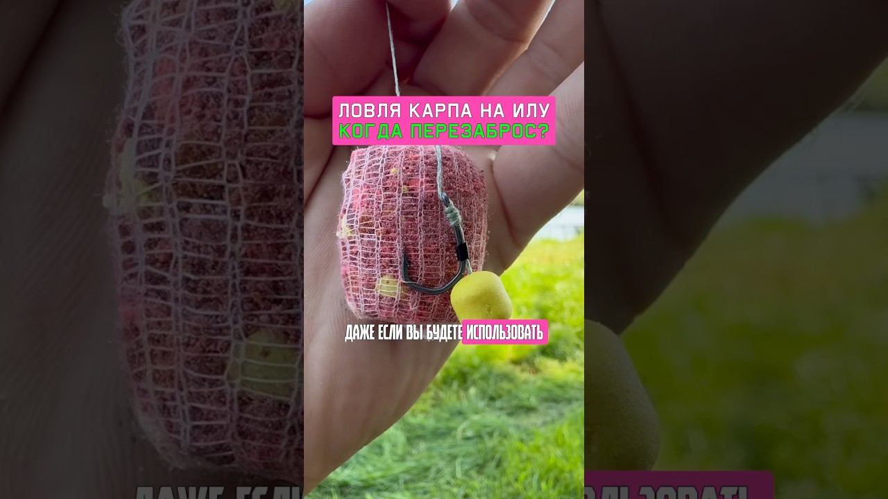 Как поймать много карпа? Когда делать перезаброс при ловле на илу? смотреть онлайн