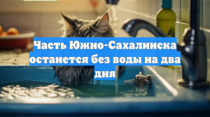 Часть Южно-Сахалинска останется без воды на два дня