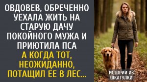 Истории из жизни: овдовев, уехала жить на старую дачу покойного мужа и приютила пса... А когда тот..