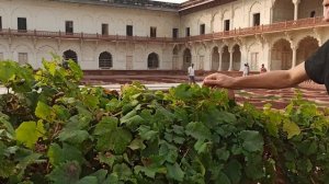 Мы в Агра форт)