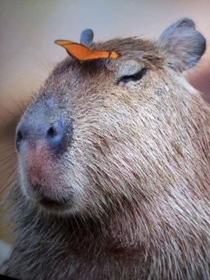 смотрим YouTube.