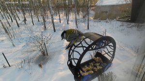 О том как Ржавый Билл искал Одноглазого Джо