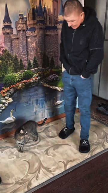 ДОБРЫЕ И ЗАБОТЛИВЫЕ ИРИШКА ЧИКИ ПИКИ И БЕЗУМНЫЙ ПАША ЛЮБЯТ ЖИВОТНЫХ ❤️ смотреть онлайн