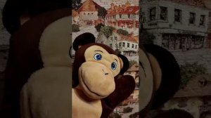 Загадки и ответы