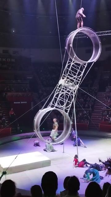 Трюки на колесе!!! Брянский цирк 2026 год смотреть онлайн