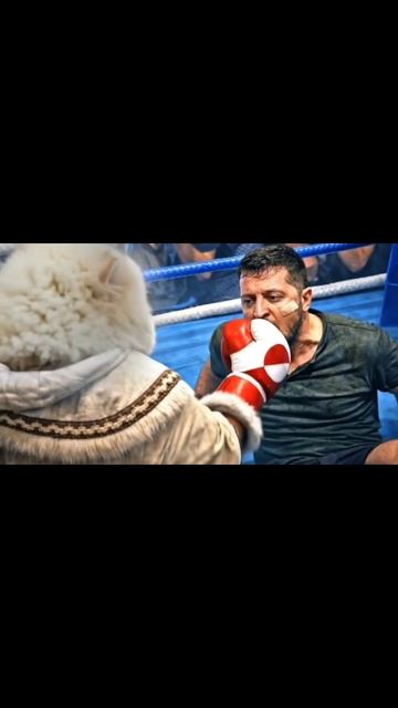 ШПИЦ ЛУКАШЕНКО ОТПРАВЛЯЕТ ЗЕЛЕНСКОГО В НОКАУТ смотреть онлайн