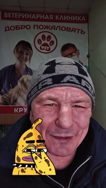 ДОБРЫЙ И ОТЗЫВЧИВЫЙ БЕЗУМНЫЙ ПАША смотреть онлайн