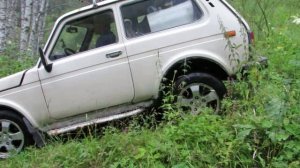 Горный Алтай. Дорога по долине р.Каспа. Июль 2025г