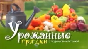 Архив ГТРК "Кузбасс". Урожайные грядки (1998)