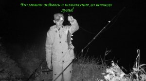 Ночная рыбалка в полнолуние #клёвыйкадр #ночнаярыбалка #сом #голавль #рыбалканадонку