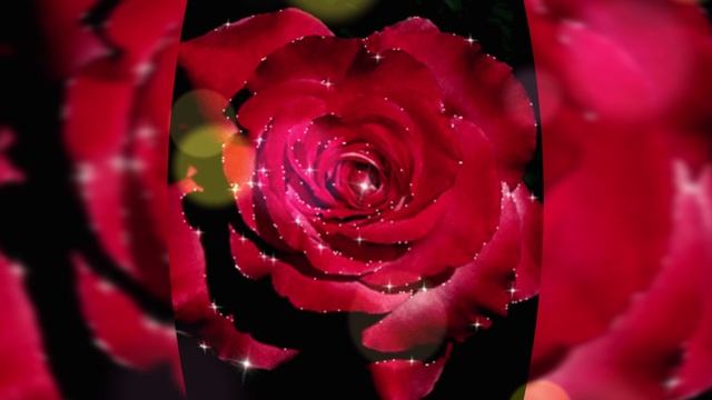 Красная роза смотреть онлайн