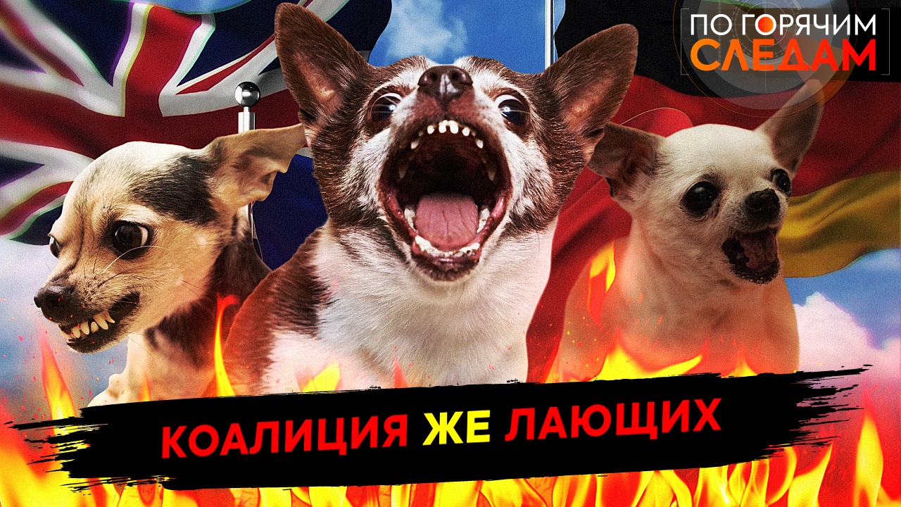 Коалиция же лающих смотреть онлайн