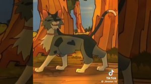 Эдит коты воители