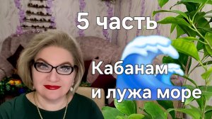 Кабанам и  лужа море🌊