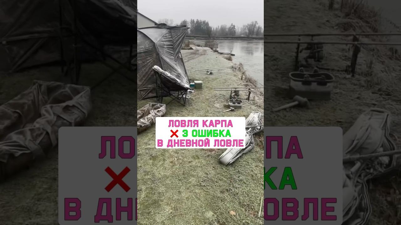 НЕ ДЕЛАЙ ЭТУ ОШИБКУ когда ловишь карпа на дневной рыбалке. Карпфишинг 2025 смотреть онлайн
