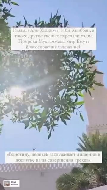 Хадис Пророка (Мир Ему) о грехах. Шейх Шамиль аш-Шафи'ий. смотреть онлайн