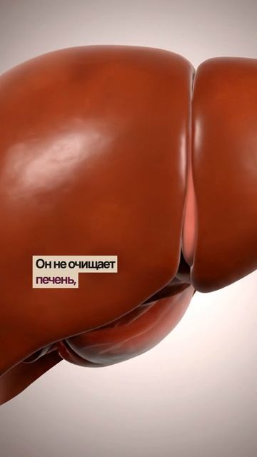 Кефир на ночь не сжигает жир смотреть онлайн