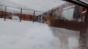 14ч00 еды нет Шерхан ждет Наивные лев в летней будке мерзнет 27 01 2026г