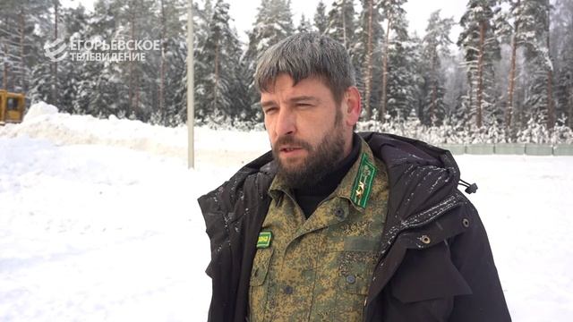 Сотрудники Егорьевского филиала «Мособллеса» начали закладку ледника для хранения саженцев сосны смотреть онлайн