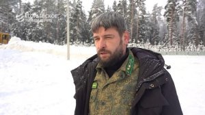 Сотрудники Егорьевского филиала «Мособллеса» начали закладку ледника для хранения саженцев сосны