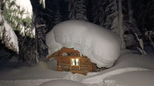 3 МЕСЯЦА НЕ БЫЛ В ИЗБЕ. ПРЯЧУСЬ ОТ СНЕЖНОЙ БУРИ. УРАГАН НАТВОРИЛ ДЕЛОВ.