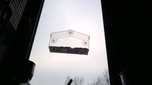 Птицы в окне