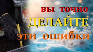 7 ошибок, которые вы допускаете при посеве семян и выращивании рассады