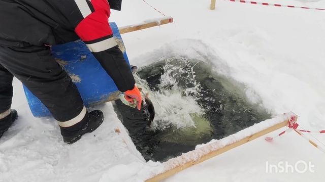 27.01.26. Зарыбление Спорт зоны
