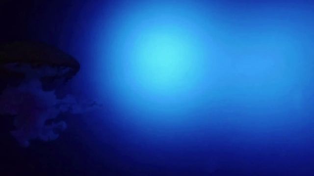 Вишудха Мантра Хам