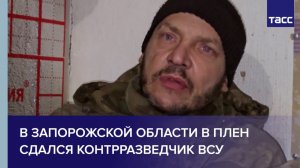 В Запорожской области в плен сдался контрразведчик ВСУ