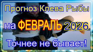 Календарь клева на февраль 2026 Прогноз клева рыбы Лунный Календарь рыбака 2026!