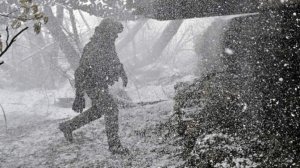 Бойцы бригады «Барс–Курск» рассказали о тактике перехвата БПЛА на малых высотах