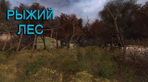 Прохождение СТАЛКЕР: Чистое Небо STALKER Clear Sky - Часть 10 Рыжий Лес