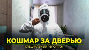 Как выживают в соседских войнах с больными людьми, клопами и гнилым мясом