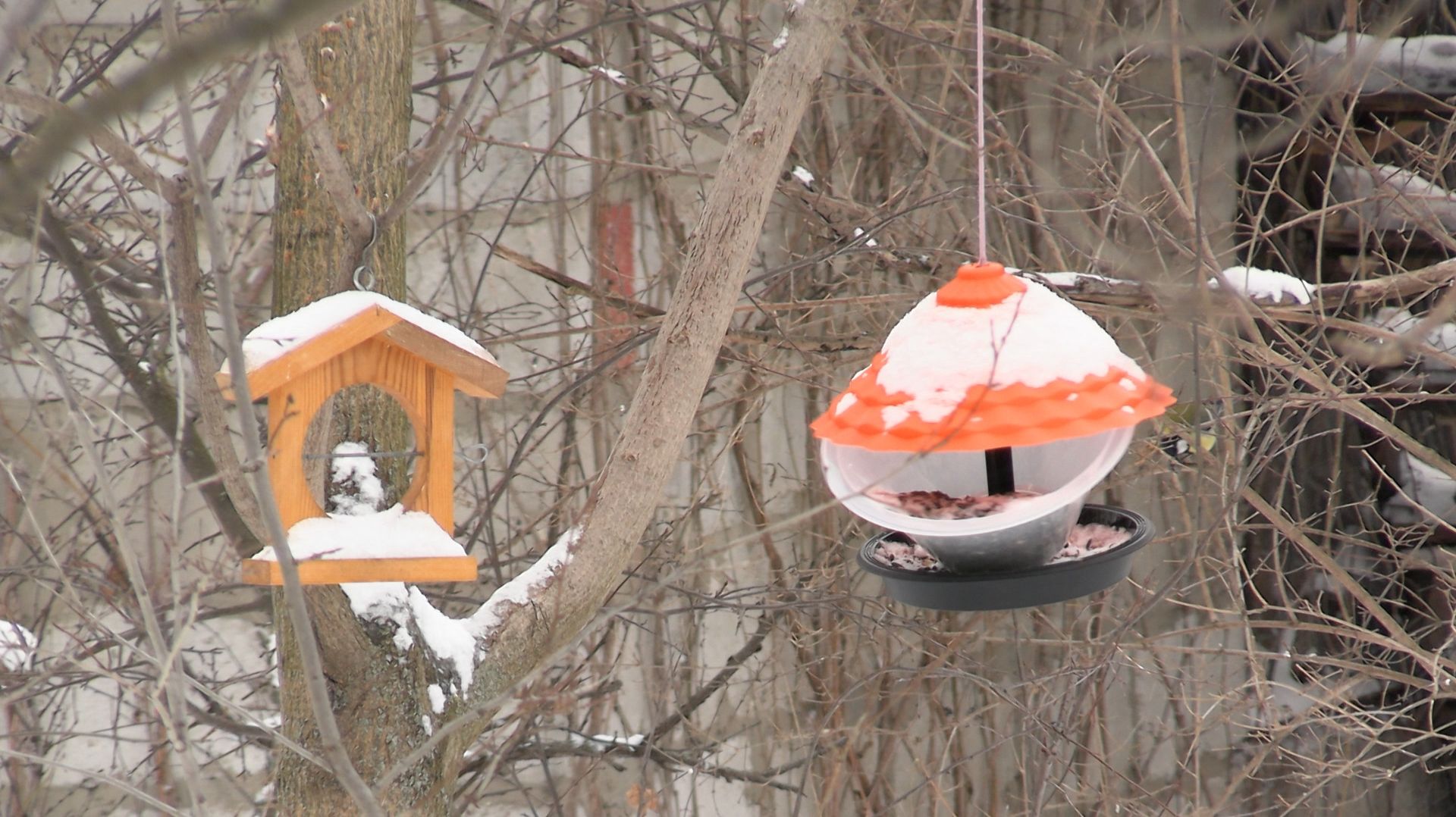 ОПЯТЬ ДВАДЦАТЬ ПЯТЬ смотреть онлайн