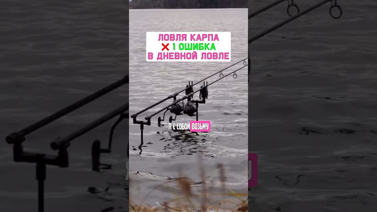 ГЛАВНАЯ ОШИБКА когда приехал ловить карпа на день. Карпфишинг 2025 смотреть онлайн