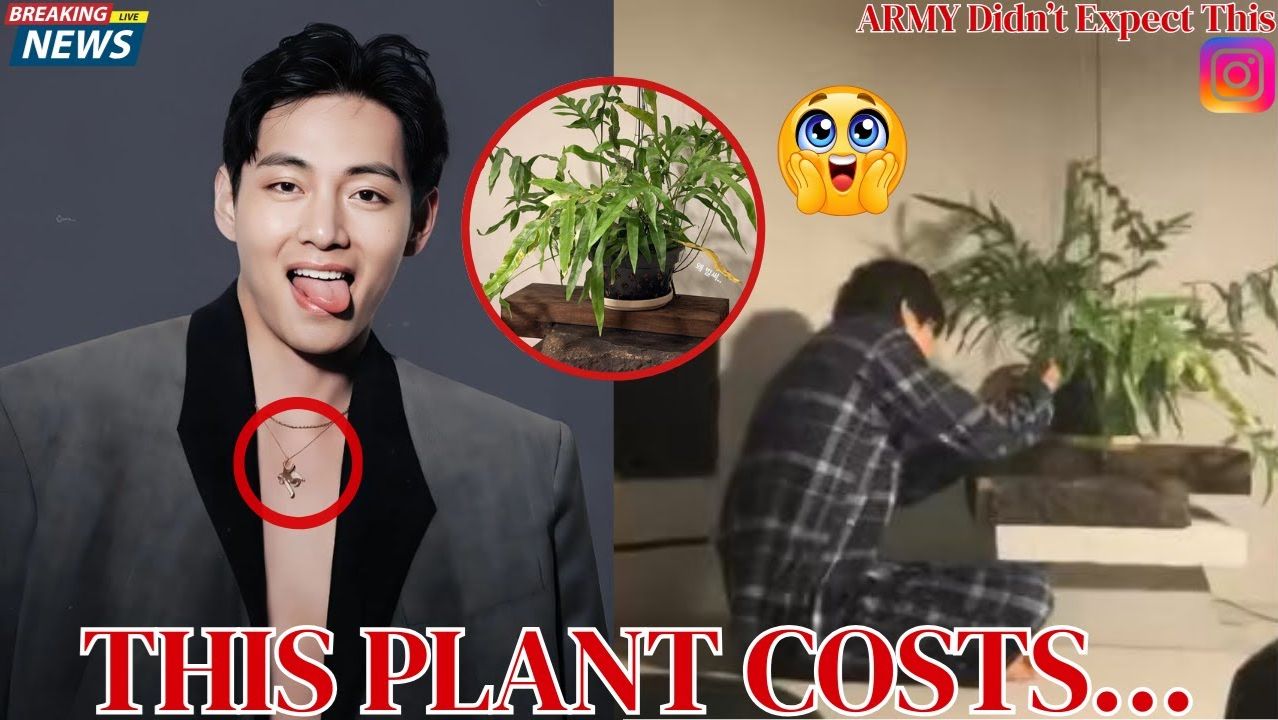 Арми вычислили, что Тэхён растит у себя дома! смотреть онлайн