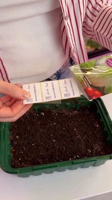 🥬 Пекинская капуста «Нежность»: ранний урожай без слизней смотреть онлайн