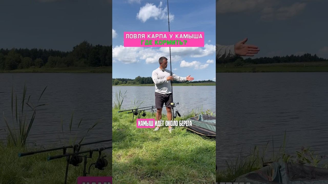 Как поймать карпа у камыша? Карпфишинг 2025 смотреть онлайн