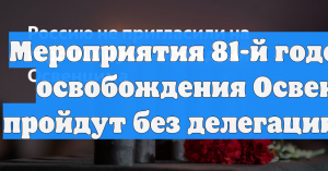 Мероприятия 81-й годовщины освобождения Освенцима пройдут без делегации России