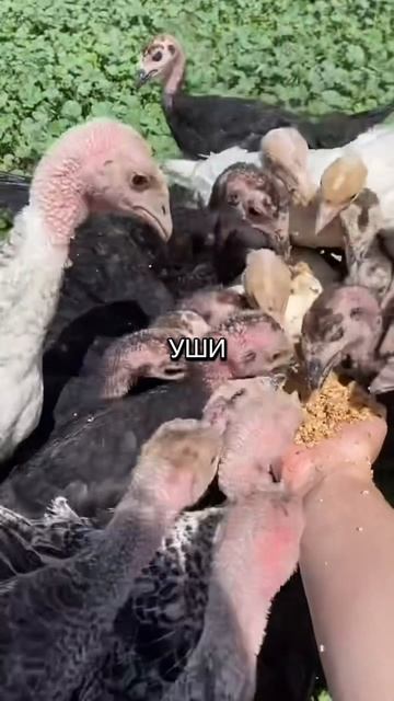 🤣🤣🤣🤣🤣🤣🤣 смотреть онлайн